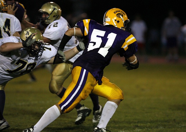 泰山与河南 泰山与河南