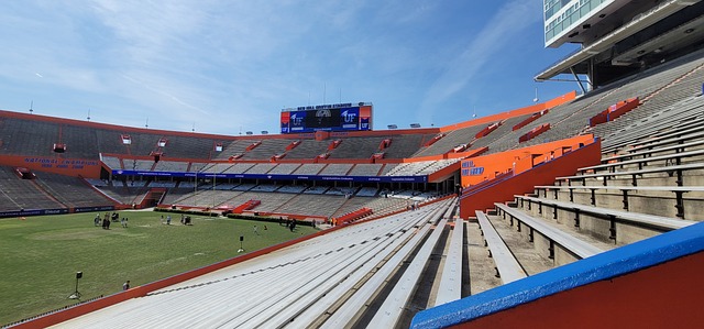 希望未来有 希望未来有